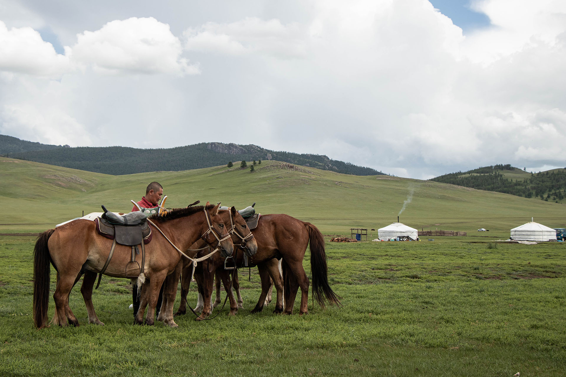 Épopée nomade à cheval
